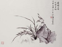 藏品(蘭花)的圖片