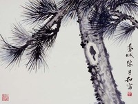 藏品(松)的圖片