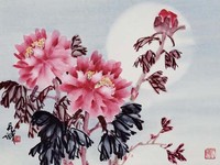 藏品(花卉)的圖片