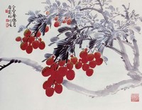 藏品(荔枝)的圖片