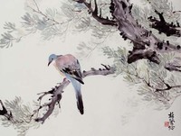 藏品(花鳥)的圖片