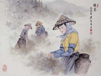 藏品(採茶)的圖片