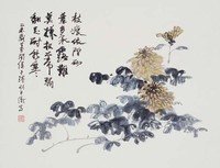 藏品(菊花)的圖片