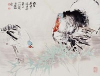 藏品(火雞)的圖片