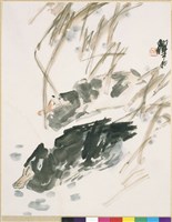 藏品(鴨)的圖片