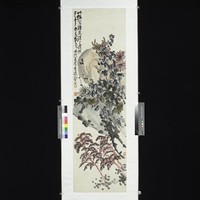 藏品(秋色)的圖片