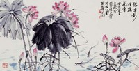 藏品(荷花)的圖片