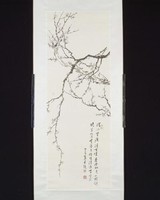 藏品(梅花)的圖片