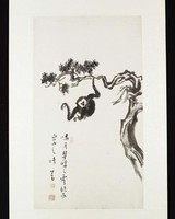 藏品(樹猿)的圖片