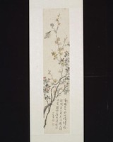 藏品(夏)的圖片