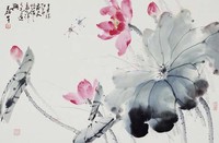 藏品(荷花)的圖片