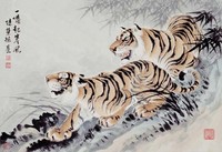 藏品(老虎)的圖片