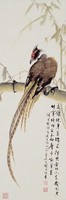 藏品(雉鳥)的圖片