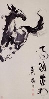 藏品(馬)的圖片