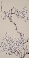 藏品(梅花)的圖片