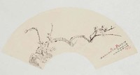 藏品(梅花)的圖片