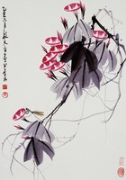 藏品(荷)的圖片