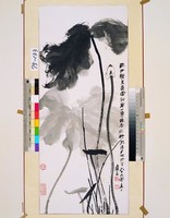 藏品(墨荷)的圖片