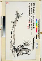 藏品(老梅)的圖片