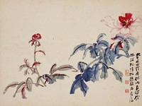 藏品(牡丹)的圖片