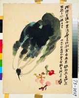 藏品(寫意白菜)的圖片