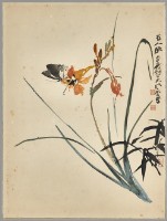 藏品(萱花)的圖片