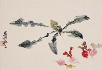 藏品(蘿蔔)的圖片