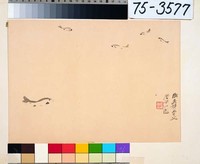 藏品(小魚)的圖片