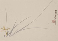 藏品(蘭)的圖片