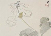 藏品(玉簪)的圖片