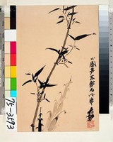 藏品(墨竹)的圖片