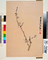 藏品(梅花)的圖片