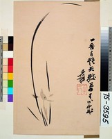 藏品(墨蘭)的圖片