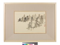 藏品(蒼虯道)的圖片