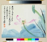 藏品(沒骨荷)的圖片