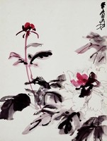 藏品(牡丹)的圖片