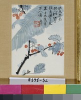 藏品(櫻桃芭蕉)的圖片