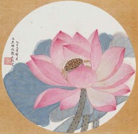 藏品(荷花)的圖片