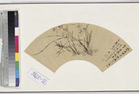 藏品(墨蘭)的圖片