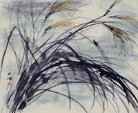 藏品(禾)的圖片