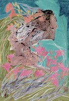 藏品(萱花)的圖片