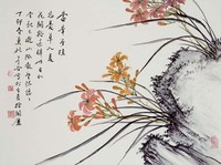 藏品(忘憂草)的圖片