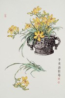 藏品(萱草花)的圖片