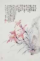 藏品(萱草花)的圖片