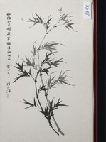 藏品(君子虛心)的圖片