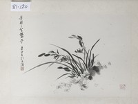 藏品(芳菲襲予)的圖片