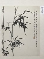 藏品(種竹能醫俗)的圖片