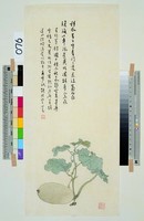 藏品(瓜)的圖片