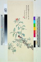 藏品(工筆花鳥)的圖片