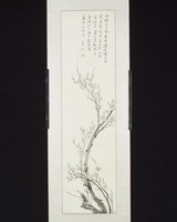 藏品(梅花)的圖片